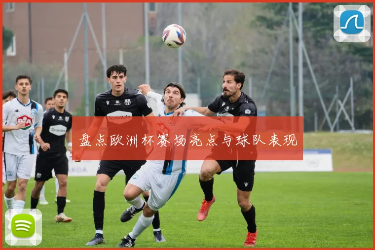 盘点欧洲杯赛场亮点与球队表现