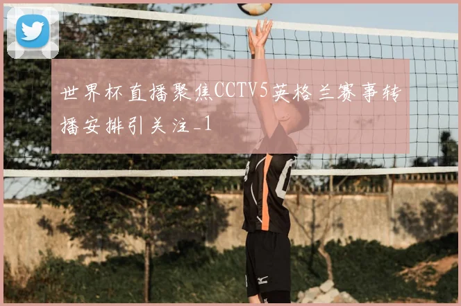 世界杯直播聚焦CCTV5英格兰赛事转播安排引关注_1
