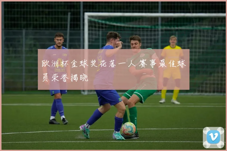 欧洲杯金球奖花落一人 赛事最佳球员荣誉揭晓