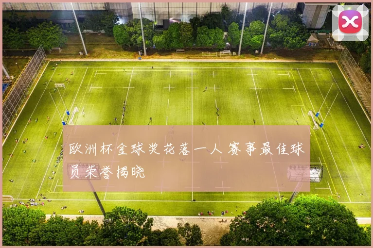 欧洲杯金球奖花落一人 赛事最佳球员荣誉揭晓
