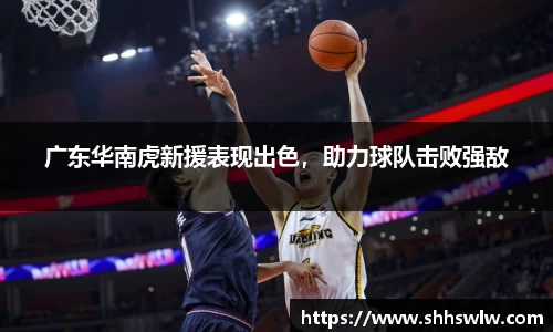 广东华南虎新援表现出色，助力球队击败强敌