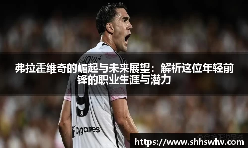 弗拉霍维奇的崛起与未来展望：解析这位年轻前锋的职业生涯与潜力